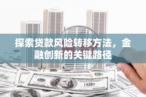 邵东探索贷款风险转移方法，金融创新的关键路径
