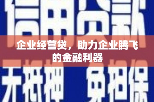 邵东企业经营贷，助力企业腾飞的金融利器