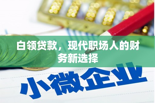 邵东白领贷款，现代职场人的财务新选择