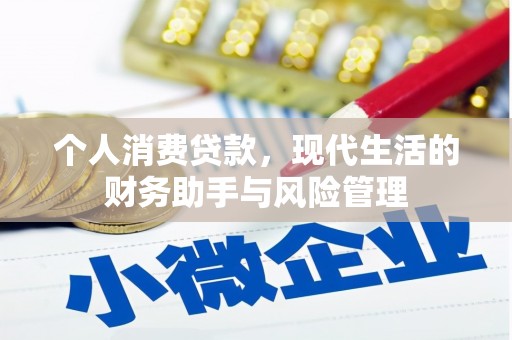 邵东个人消费贷款，现代生活的财务助手与风险管理