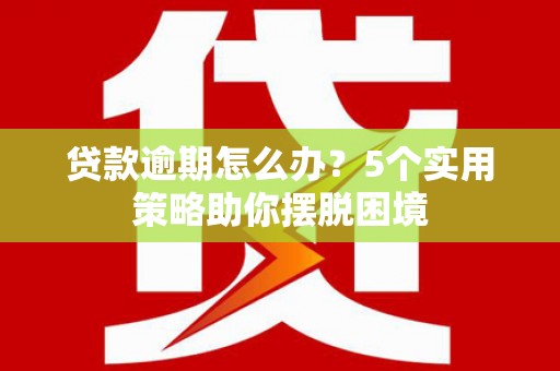 邵东贷款逾期怎么办？5个实用策略助你摆脱困境
