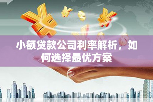邵东小额贷款公司利率解析，如何选择最优方案
