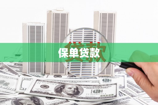 邵东保单贷款