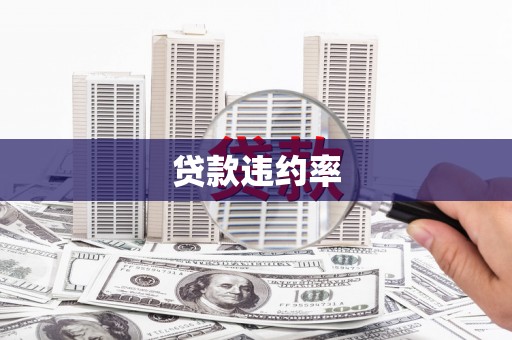 邵东贷款违约率