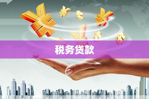 邵东税务贷款
