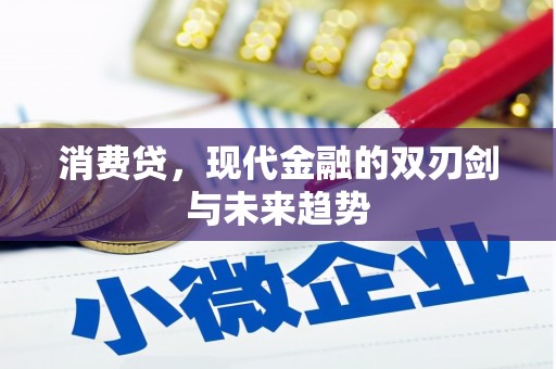 邵东消费贷，现代金融的双刃剑与未来趋势