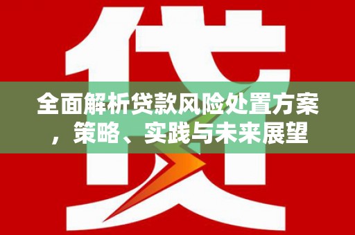 邵东全面解析贷款风险处置方案，策略、实践与未来展望