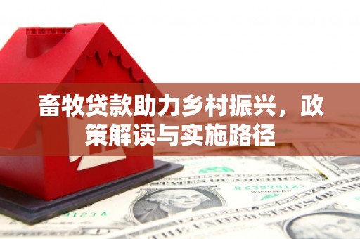 邵东畜牧贷款助力乡村振兴，政策解读与实施路径
