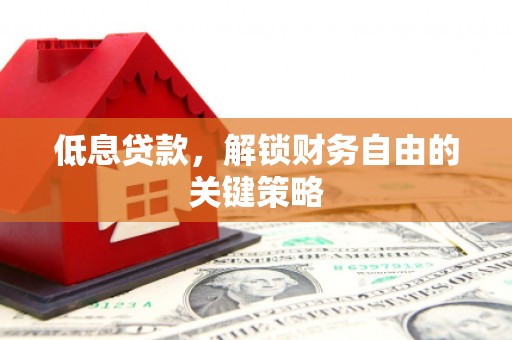 邵东低息贷款，解锁财务自由的关键策略