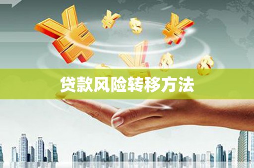 邵东贷款风险转移方法