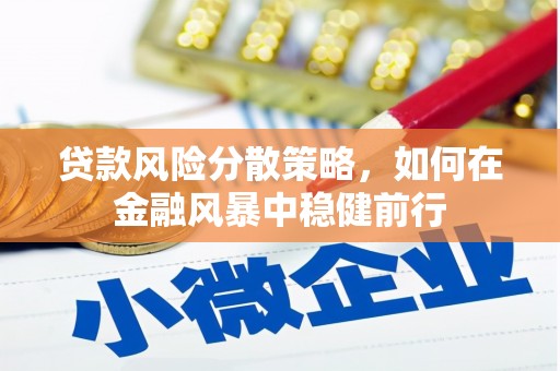 邵东贷款风险分散策略，如何在金融风暴中稳健前行