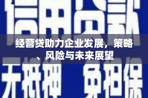 邵东经营贷助力企业发展，策略、风险与未来展望