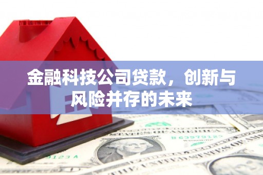 邵东金融科技公司贷款，创新与风险并存的未来