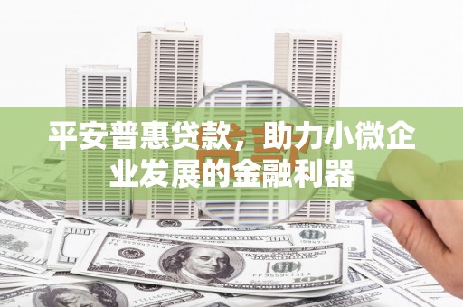 邵东平安普惠贷款，助力小微企业发展的金融利器
