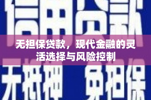 邵东无担保贷款，现代金融的灵活选择与风险控制