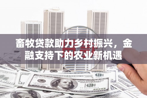 邵东畜牧贷款助力乡村振兴，金融支持下的农业新机遇