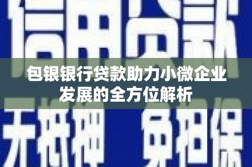 邵东包银银行贷款助力小微企业发展的全方位解析