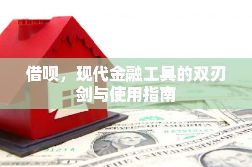 邵东借呗，现代金融工具的双刃剑与使用指南
