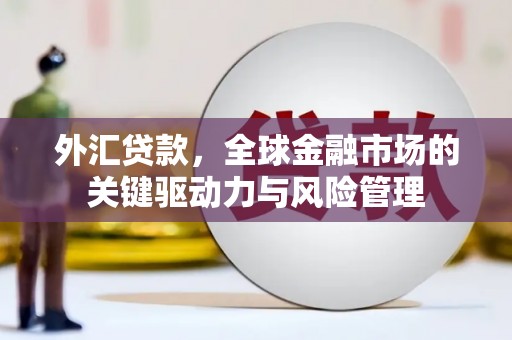 邵东外汇贷款，全球金融市场的关键驱动力与风险管理
