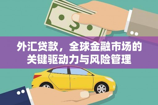 邵东外汇贷款，全球金融市场的关键驱动力与风险管理