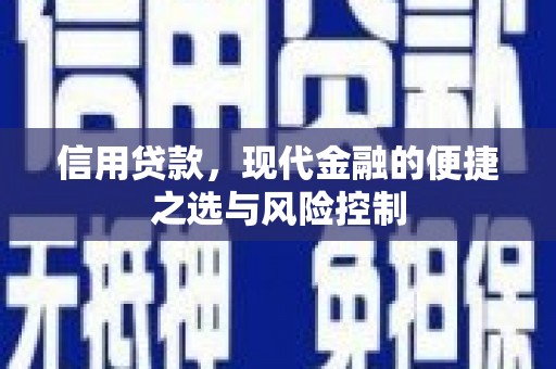邵东信用贷款，现代金融的便捷之选与风险控制