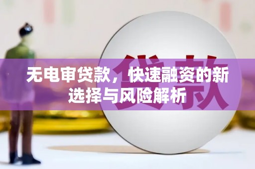 邵东无电审贷款，快速融资的新选择与风险解析