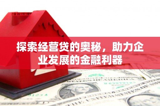 邵东探索经营贷的奥秘，助力企业发展的金融利器