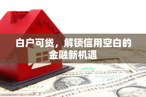 邵东白户可贷，解锁信用空白的金融新机遇