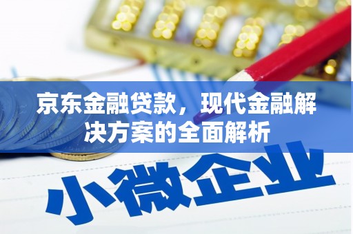 邵东京东金融贷款，现代金融解决方案的全面解析