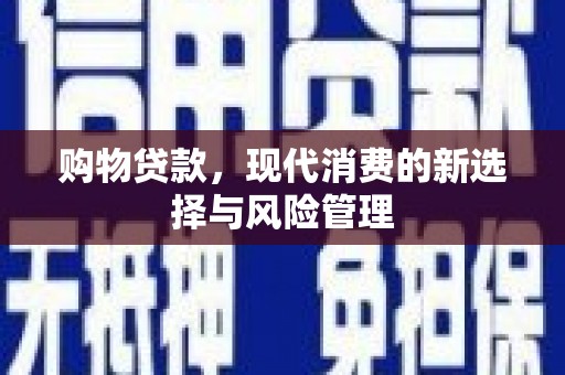 邵东购物贷款，现代消费的新选择与风险管理