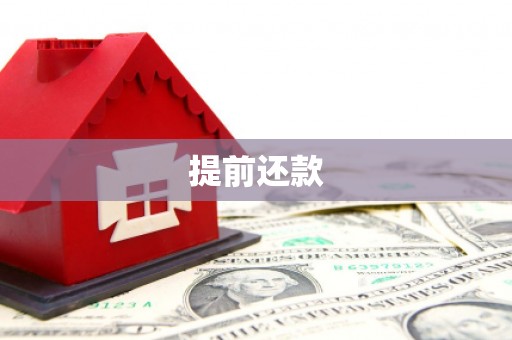 邵东提前还款