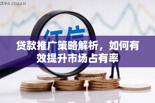 邵东贷款推广策略解析，如何有效提升市场占有率