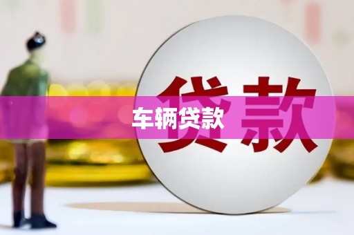 邵东车辆贷款