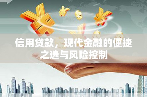 邵东信用贷款，现代金融的便捷之选与风险控制