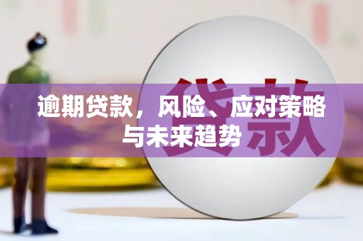 邵东逾期贷款，风险、应对策略与未来趋势