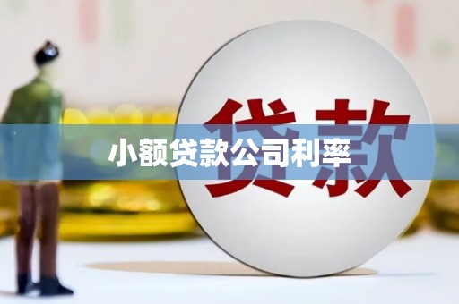 邵东小额贷款公司利率
