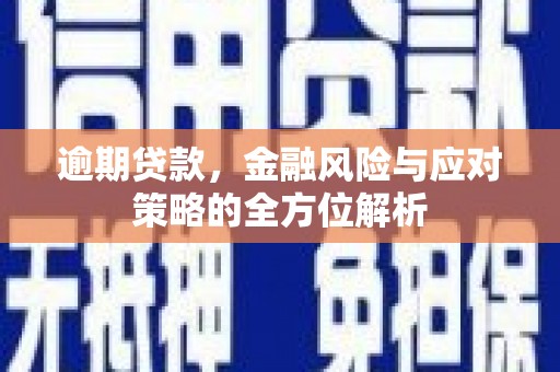 邵东逾期贷款，金融风险与应对策略的全方位解析