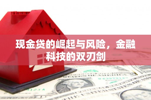 邵东现金贷的崛起与风险，金融科技的双刃剑
