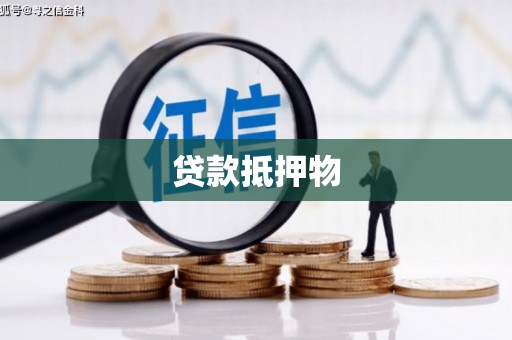 邵东贷款抵押物