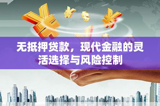 邵东无抵押贷款，现代金融的灵活选择与风险控制