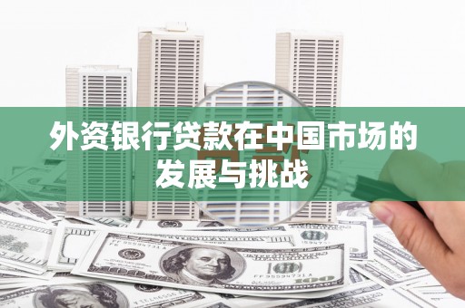 邵东外资银行贷款在中国市场的发展与挑战