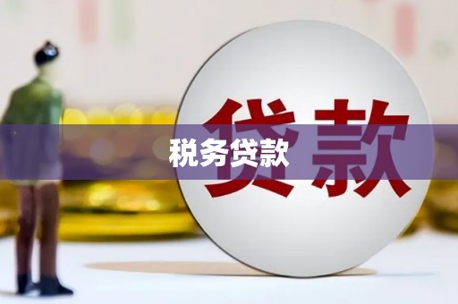 邵东税务贷款