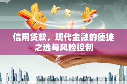 邵东信用贷款，现代金融的便捷之选与风险控制