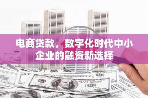 邵东电商贷款，数字化时代中小企业的融资新选择