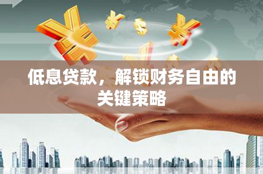 邵东低息贷款，解锁财务自由的关键策略