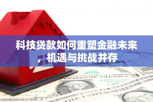 邵东科技贷款如何重塑金融未来，机遇与挑战并存