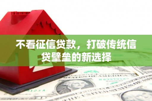 邵东不看征信贷款，打破传统信贷壁垒的新选择