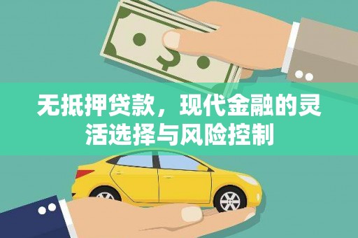 邵东无抵押贷款，现代金融的灵活选择与风险控制
