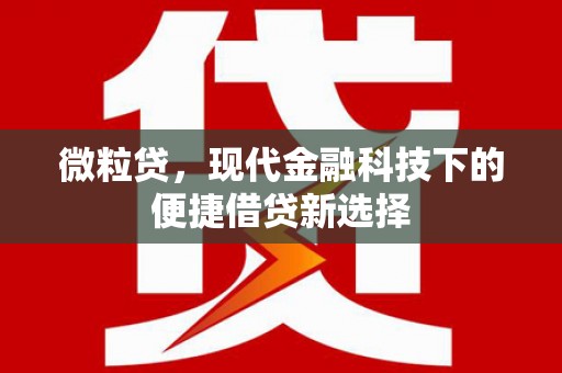 邵东微粒贷，现代金融科技下的便捷借贷新选择
