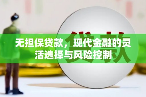 邵东无担保贷款，现代金融的灵活选择与风险控制